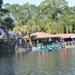 Boat tour and paddle boats