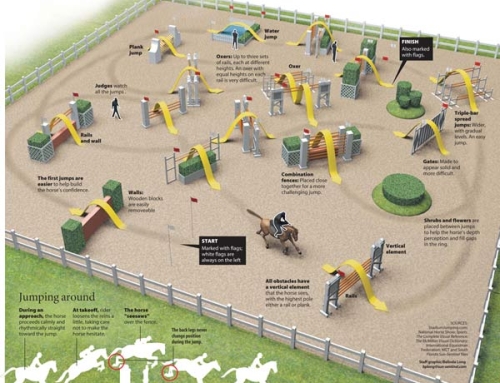 Horse Show Jumping Explained [Infographic]